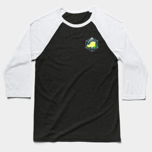 Lemonade Ice Baseball T-Shirt